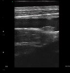 RC DERMATOLOGY - Diagnóstico de Alta Precisão para a Medicina Estética e Dermatológica