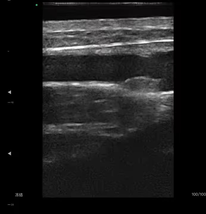 RC DERMATOLOGY - Diagnóstico de Alta Precisão para a Medicina Estética e Dermatológica